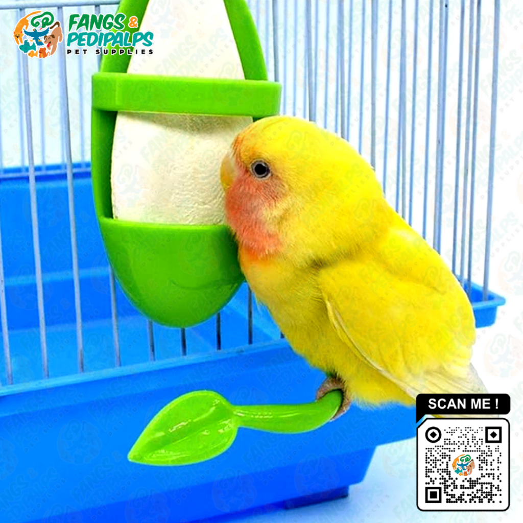 2 Clips 2 Perches Set White 2 Fishbone Clips And 2 Bird Perches ...