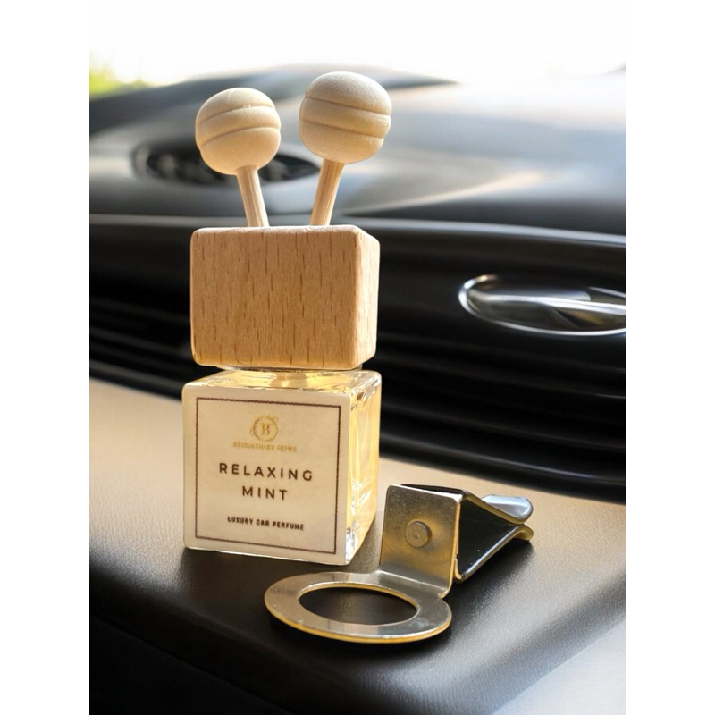 Car Diffuser Freshener Odor Eliminator Vent Clip Set Shopee Philippines