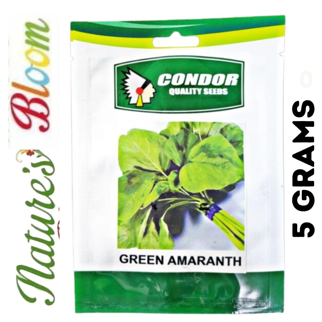 GREEN AMARANTH SEEDS KULITIS OR LOCAL SPINACH 5 GRAMS (CONDOR) | Shopee ...