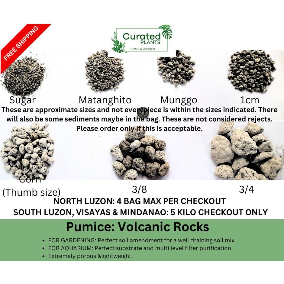1 KILO PACK: Pumice (Porous Volcanic Rock) for Gardening & Aquarium use ...