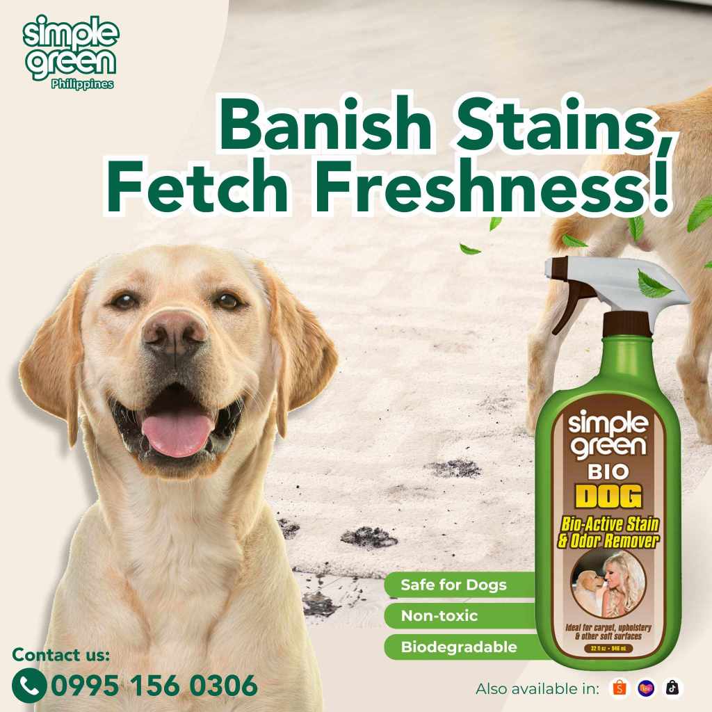 SIMPLE GREEN BIO DOG STAIN ODOR REMOVER 946 ml Shopee Philippines