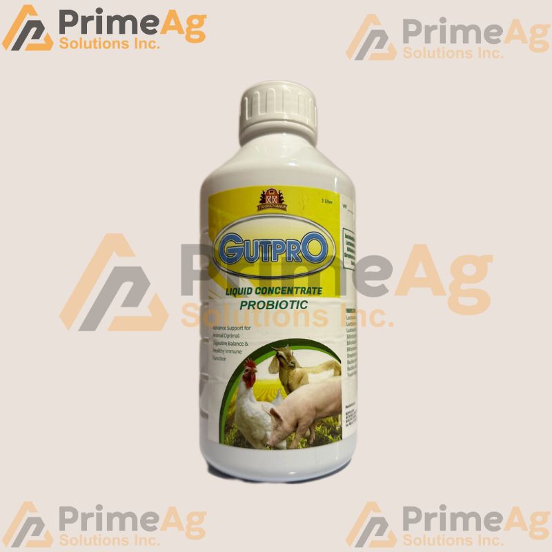 Gutpro Probiotic Liquid concentrate | Shopee Philippines