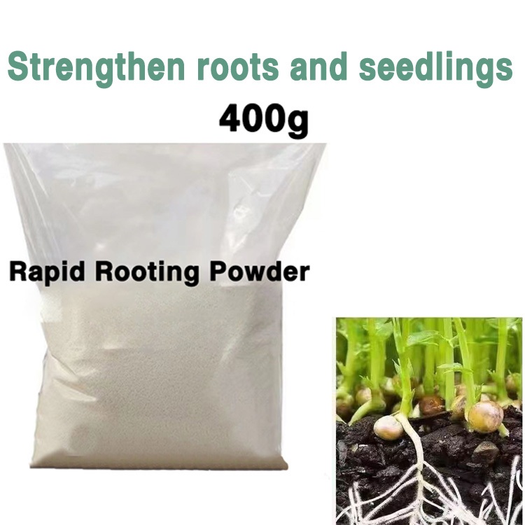 Fast-growing root medicinal hormone regulator garden rooting powder ...
