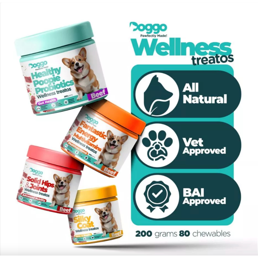 Doggo Wellness Treatos Dog Supplements (200g) Beef Flavor | Shopee ...