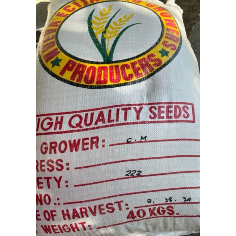 Binhi palay seeds /rice variety 222 and 436 binhi malakas umani ...