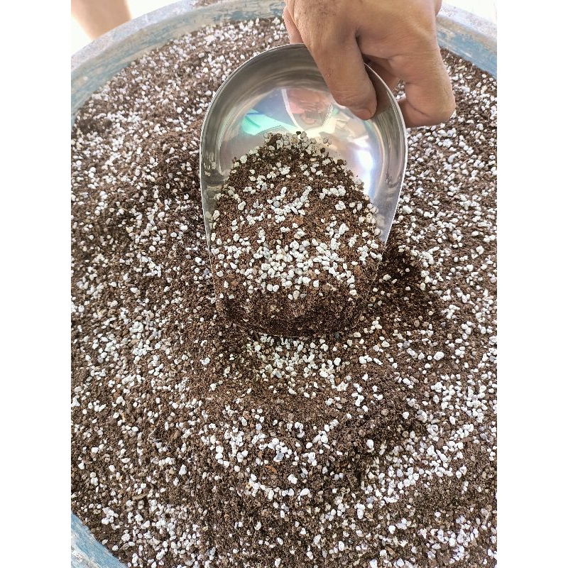 CACTUS SUCCULENT POTTING MIX | Shopee Philippines