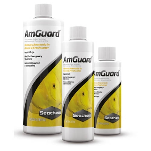 Seachem Liquid AmGuard - Detoxifies ammonia for up to 72 hours | Shopee