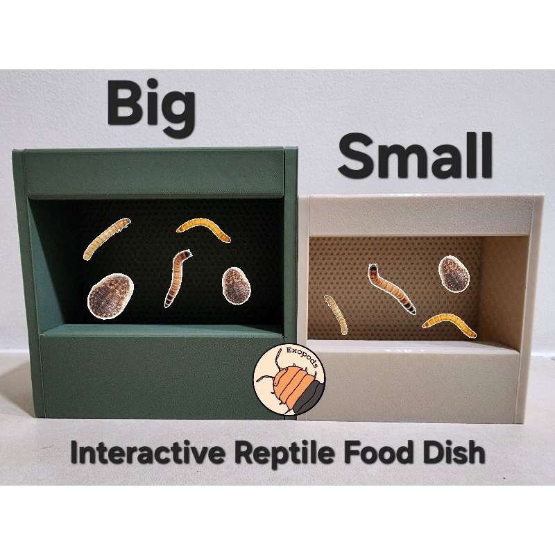 Image showcasing Interactive Reptile Feeding Dish (3D Printed) | Shopee Philippines