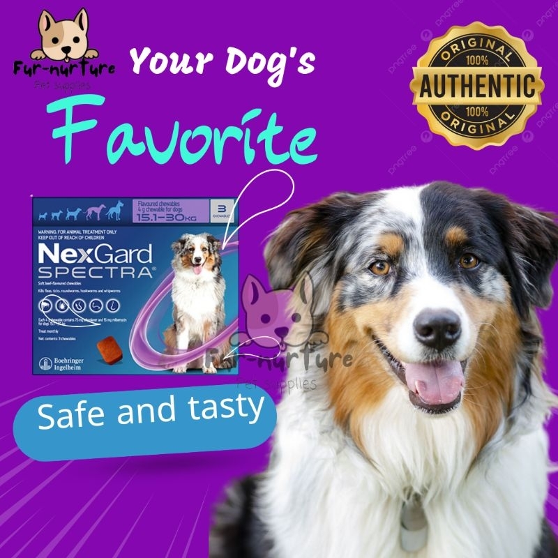 Nexgard Spectra Anti Tick & Flea with FREE Sticker for Dogs Sold per ...