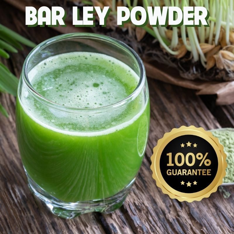 (AVAILABLE) Barley Powder Original 100% Organic Powder 15 Sachets ...