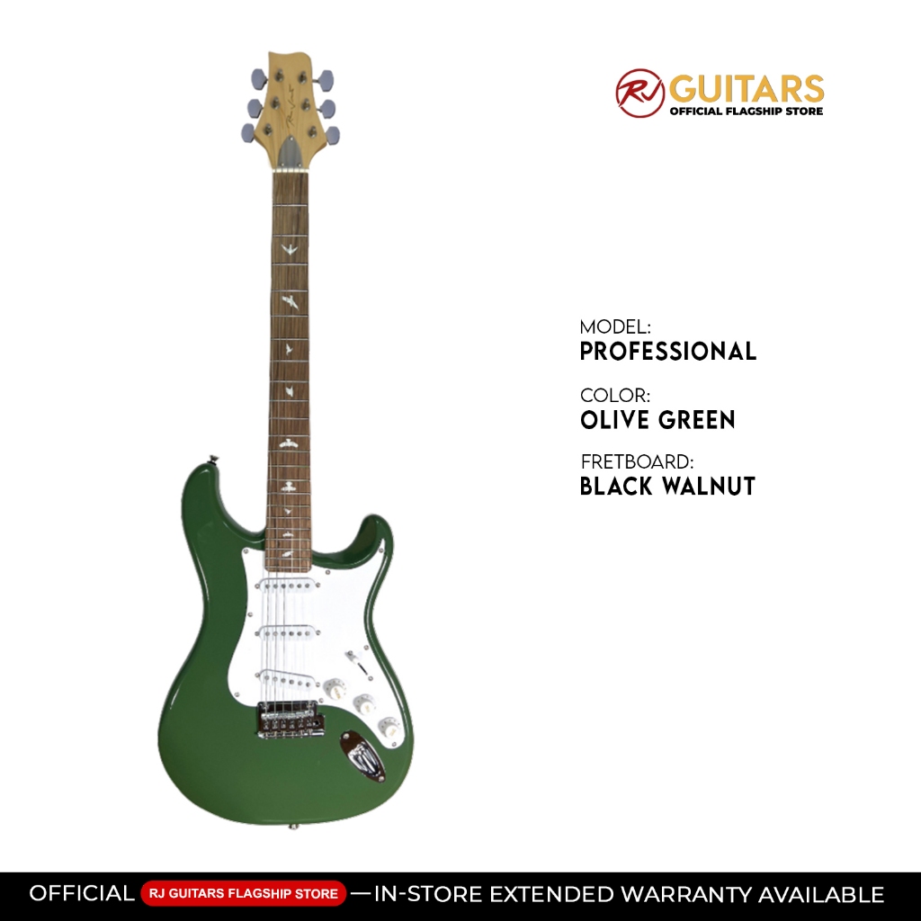 RJ Vibecaster Electric Guitar (Silversky, Stratocaster) | Shopee