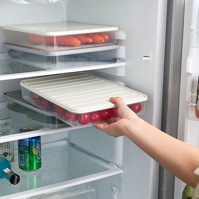 Refrigerator Freezer Storage Box Meat Seafood Fruit Food Storage ...