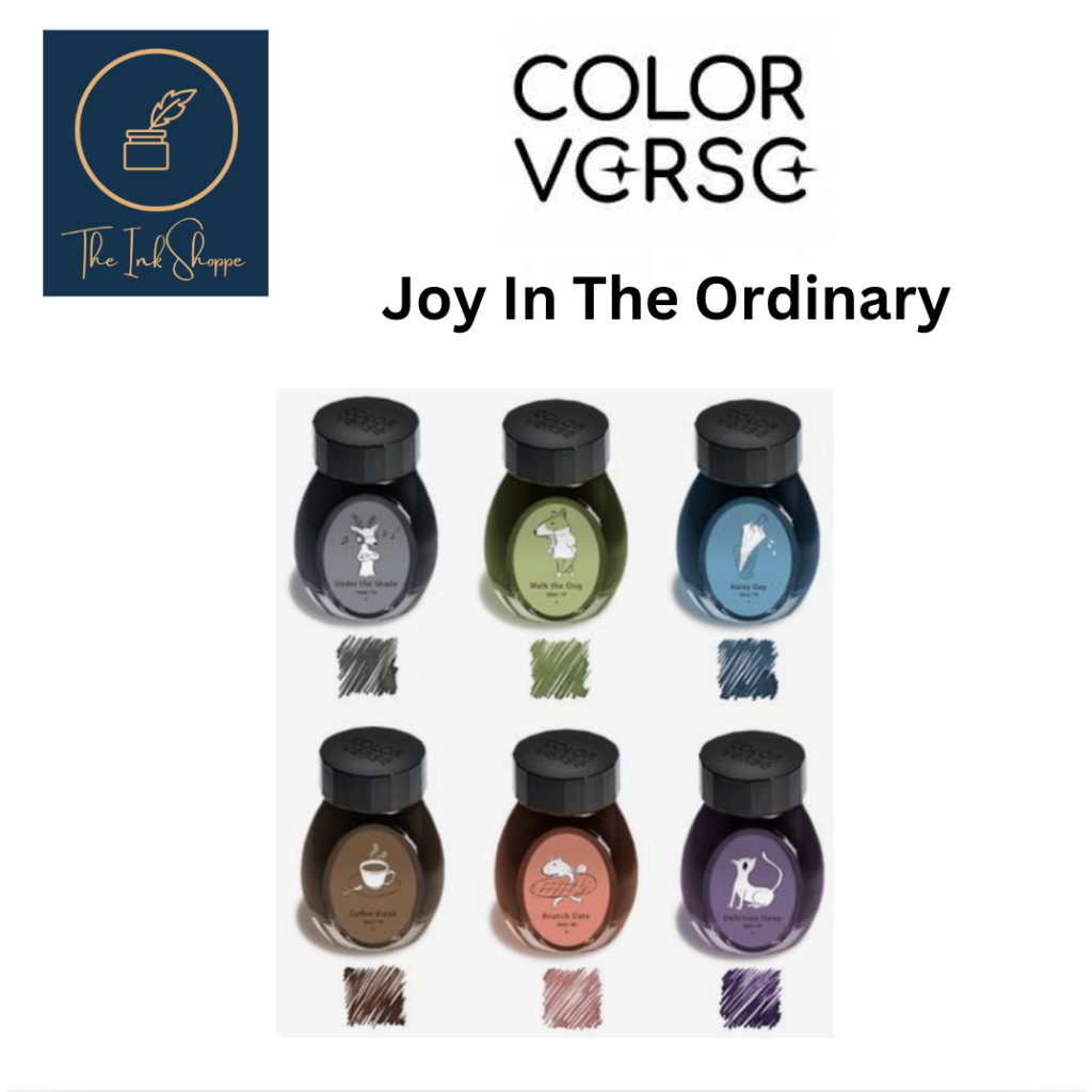 Colorverse Joy in the Ordinary FULL BOTTLE 30ml fountain Pen Ink ...
