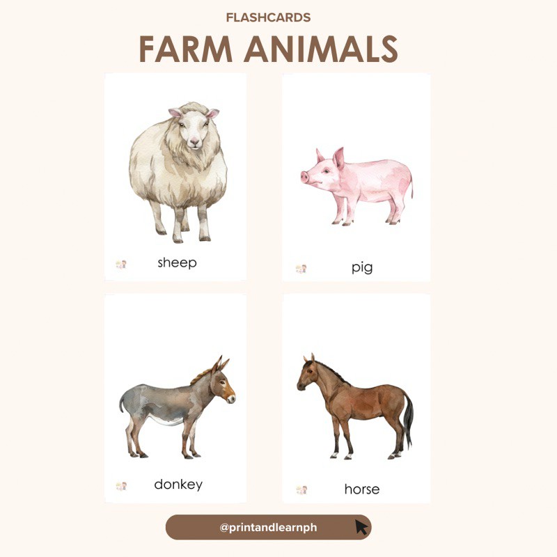Flashcard: Farm Animals (Laminated Educational Flashcards for kids ...