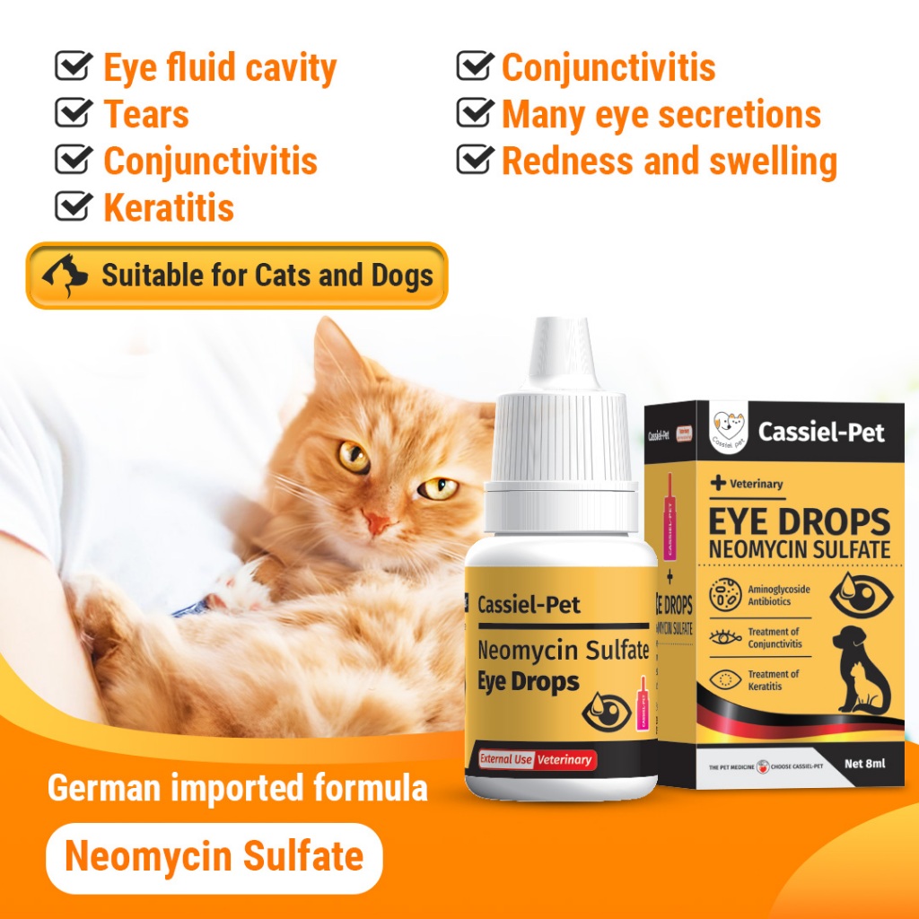 CASSIEL PET Gentamicin Sulfate Eye Drops For Infection For Dogs & Cats ...