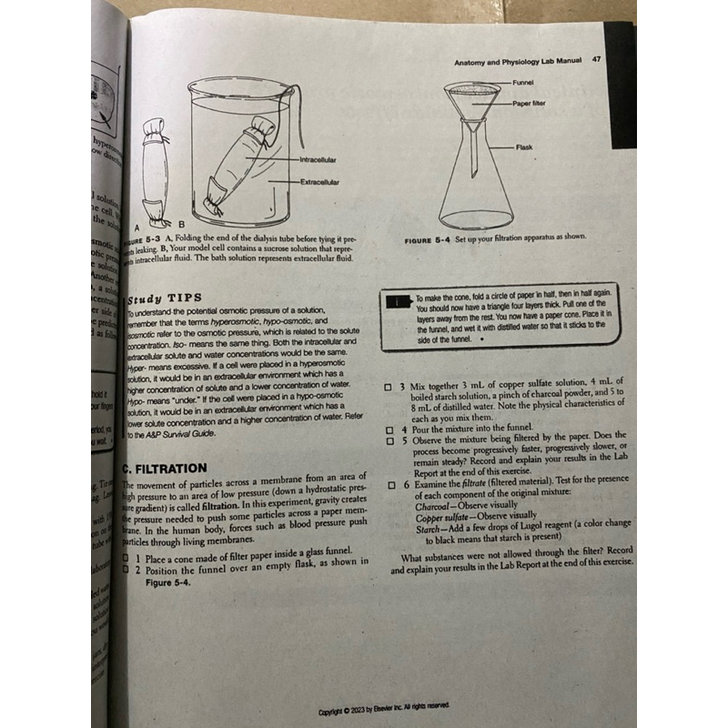 ANATOMY & PHYSIOLOGY (11th edition LABORATORY MANUAL) | Shopee Philippines