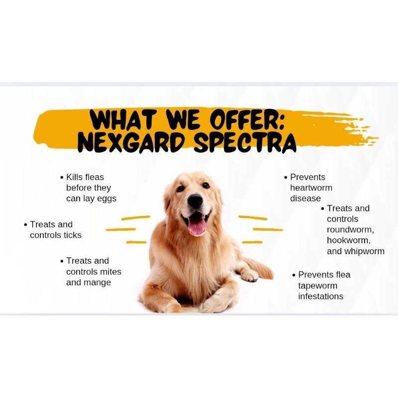 Nexgard Spectra Anti Tick & Flea with FREE Sticker for Dogs Sold per ...