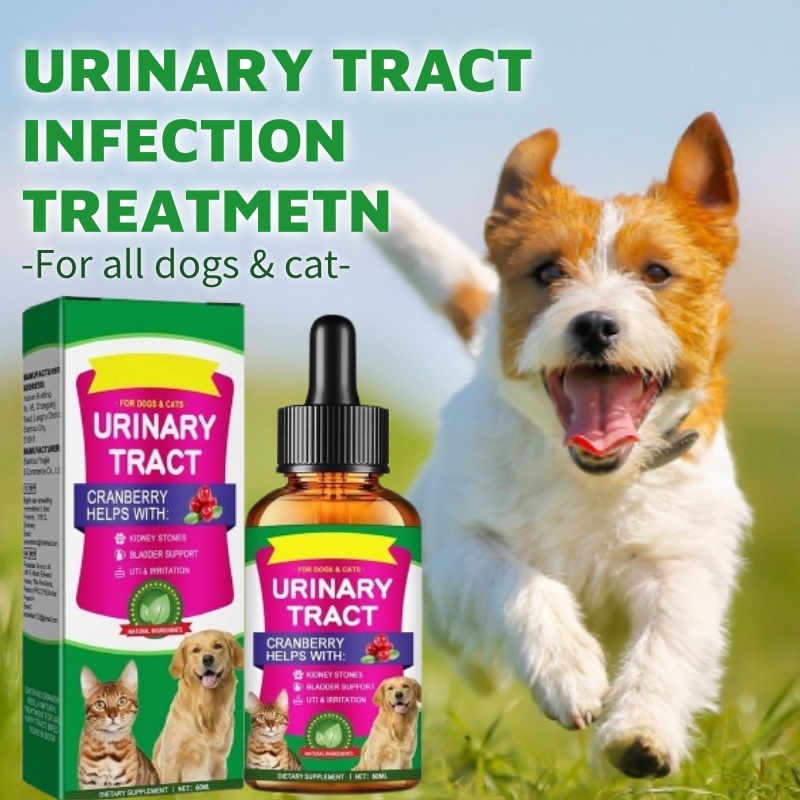 Cat Urinary Tract Infection Natural Treatment For Multi Cat Households Reference: Cat Dog Urinary Tract Infection Treatment 60Ml Cranberry Natural Uti