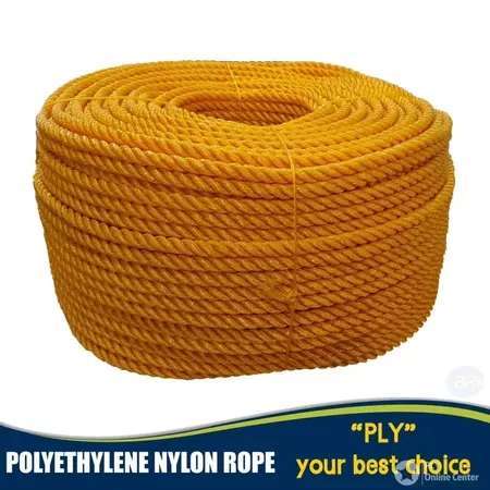 PLY NYLON ROPE 200meters Diameter 7-10MM Nylon Rope Panali Lubid ...