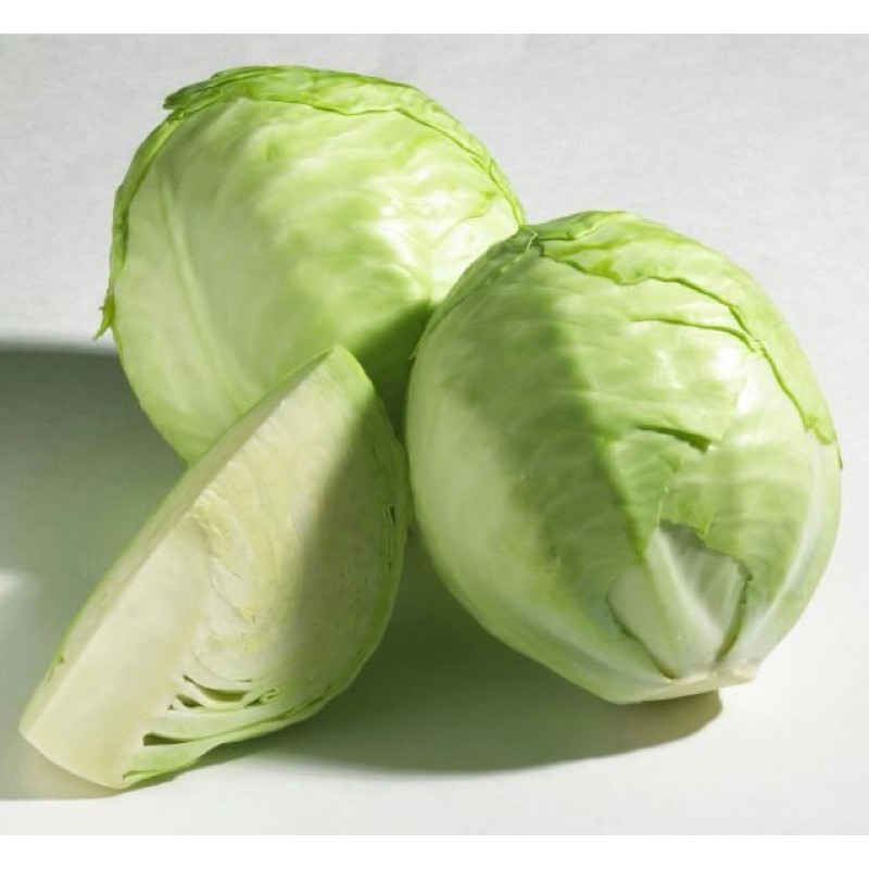 Cabbage / Repolyo / 10seeds - (1pack) | Shopee Philippines