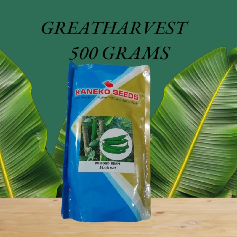 WINGED BEAN MEDIUM FRUIT LENGTH SIGARILYAS SEEDS(500RAMS)KANEKO SEEDS ...