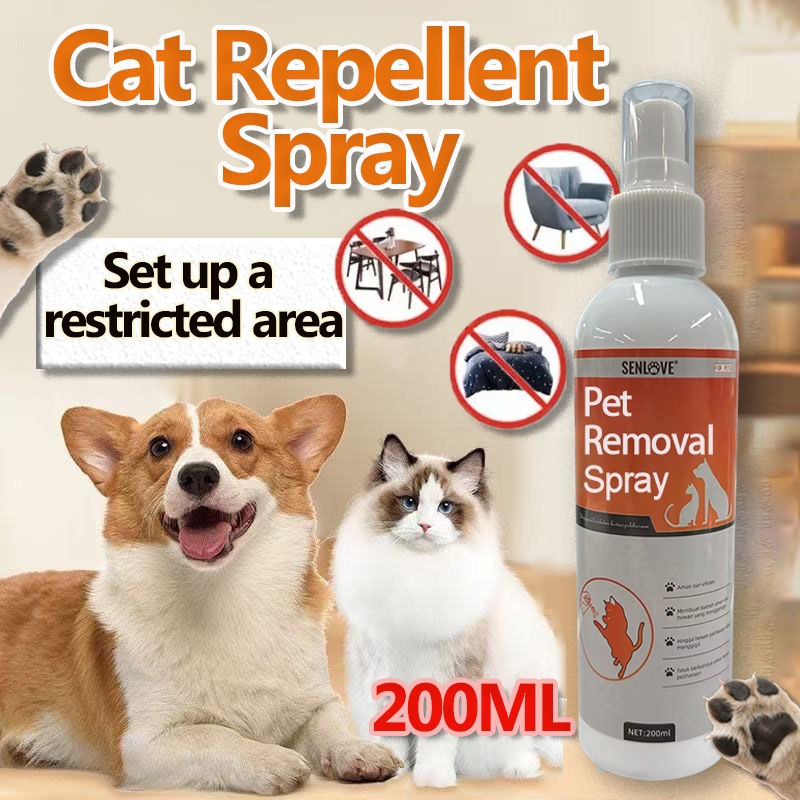 Ardap A Lungo Termine Spray Per Pulci Per Ambiente Quiko L'originale - 4 X 400 Ml - Foto 4