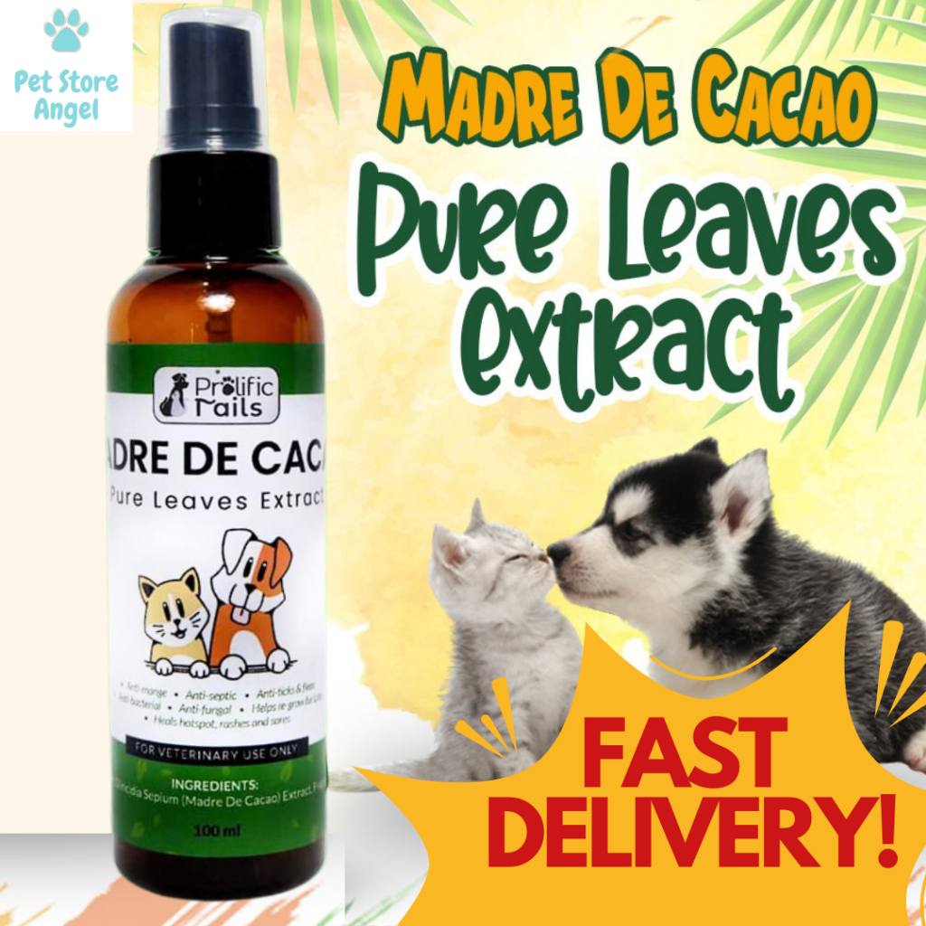 ON HAND Pure Madre de Cacao Kakawate Extract Spray Anti Rashes Skin ...