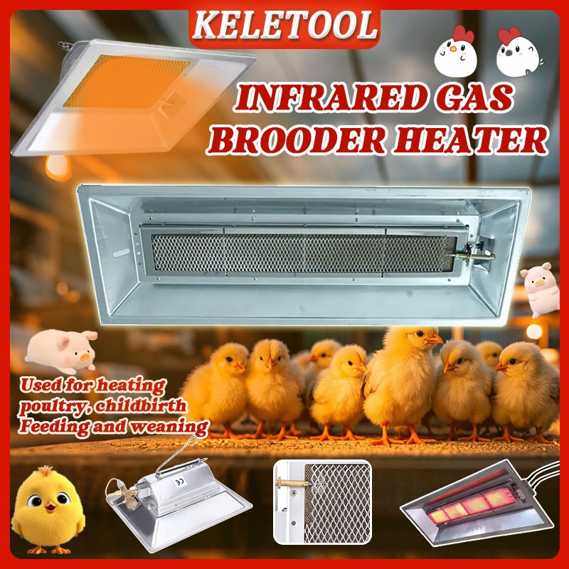 Chicken Brooder Heater Brooder Heating Plate Heated Adjustable Temp ...