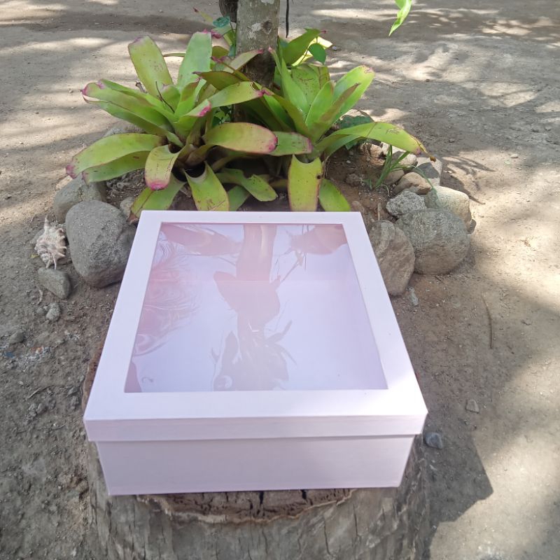 TACAan Rectangular Hard Box with acetate | Shopee Philippines