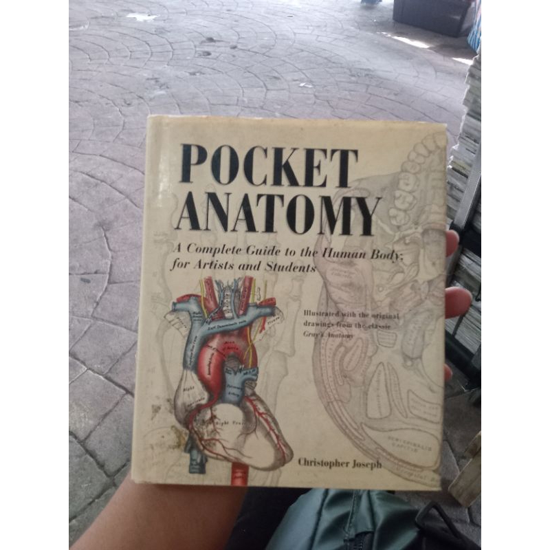 POCKET ANATOMY, a complete guide in the human body for artist and ...