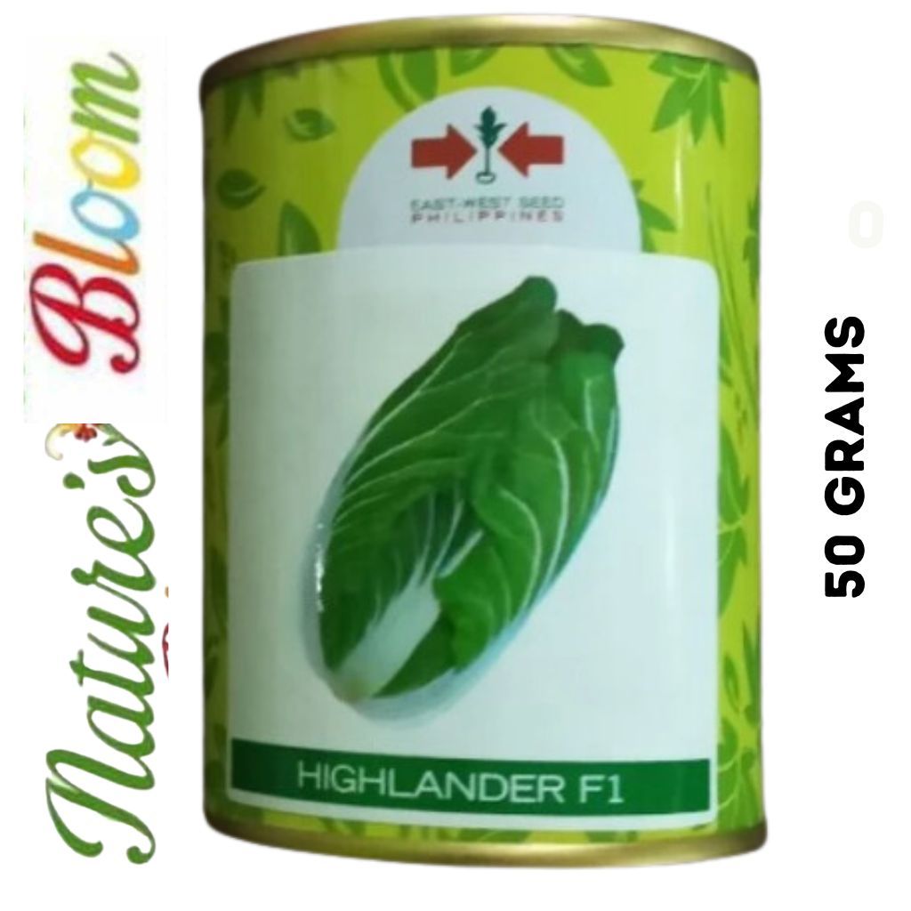 HIGHLANDER F1 HYBRID CHINESE CABBAGE SEEDS 50 GRAMS (EAST WEST ...