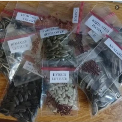 Plant And Tree Seeds | Shopee Philippines