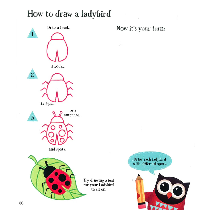 LEARN TO DRAW WITH HOOT (INCLUDES OVER 60 PAGES OF OBJECTS TO DRAW ...