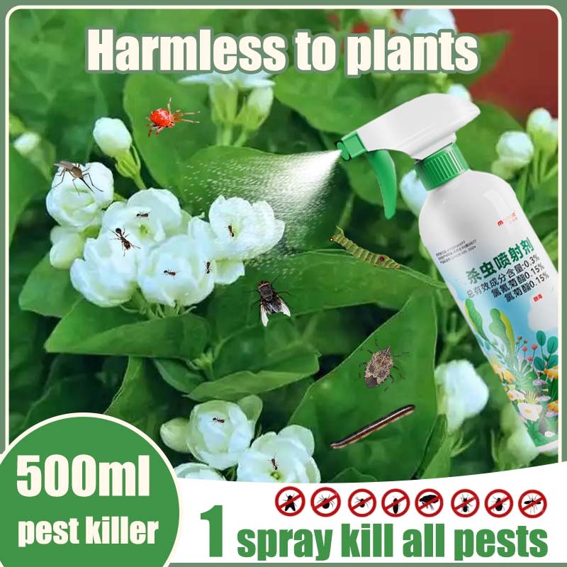 Pesticide for plants and vegetables Insecticide spray for insect ...