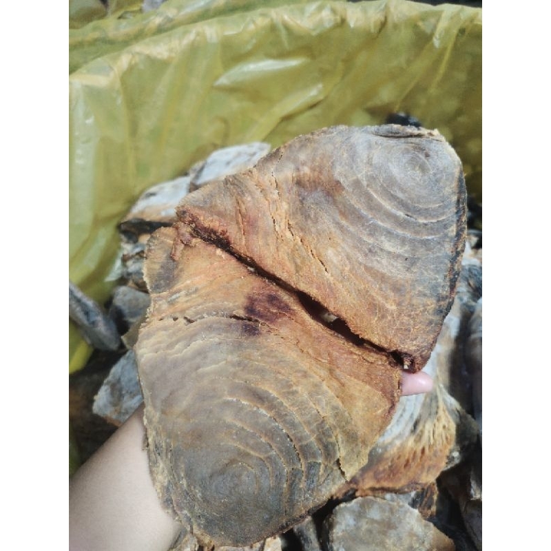 Bulad Bariles Tuna Yellow Fin Dried Fish All Meat (limited only ...