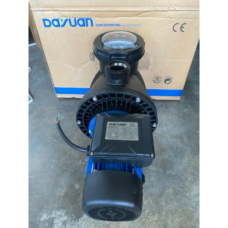 DAYUAN ITALY TECH COPPER WINDING SWIMMING POOL PUMP (CONCENTRATING PUMP ...