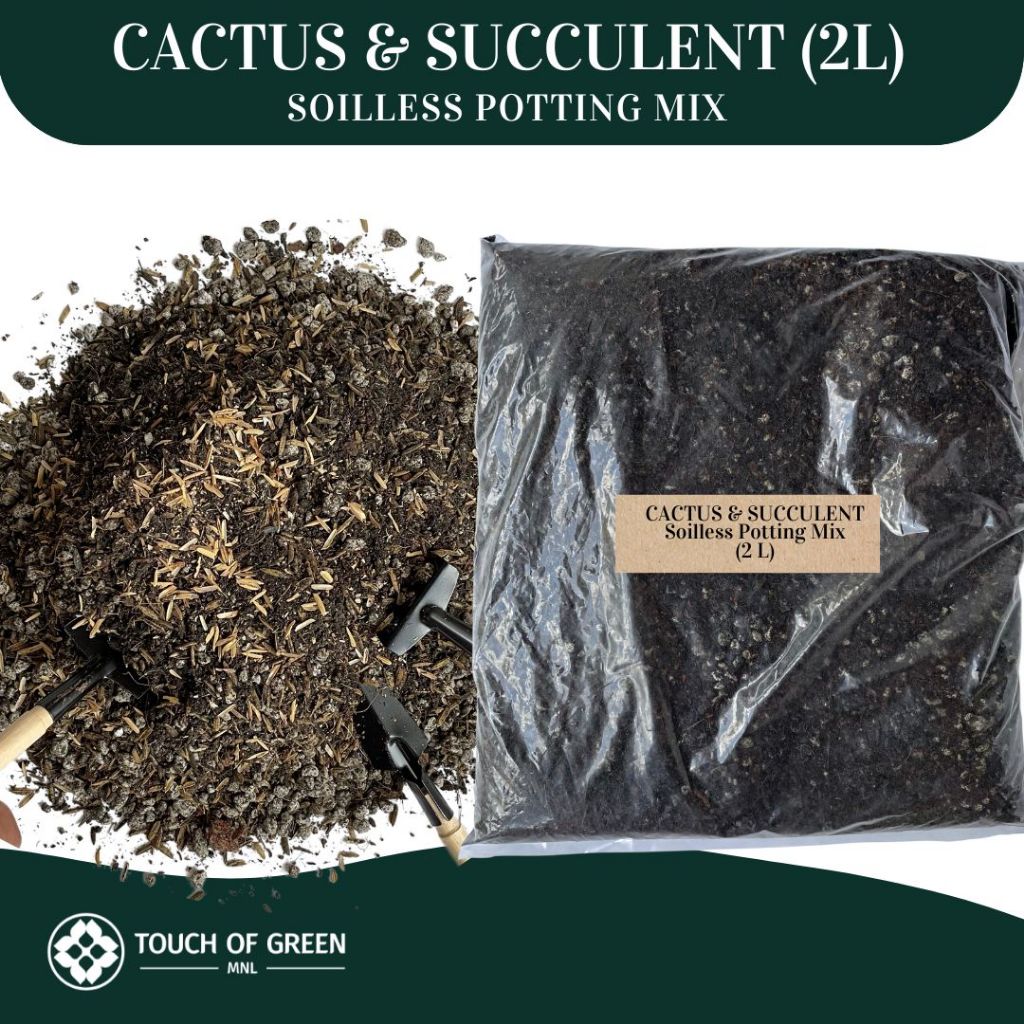 CACTUS AND SUCCULENT SOILLESS POTTING MIX 2L | Shopee Philippines