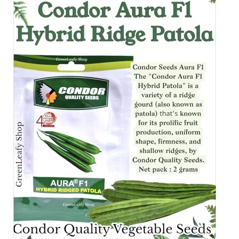 Condor Seeds Aura F1 Hybrid Patola Vegetable Gulay Seeds 2g GreenLeafy ...
