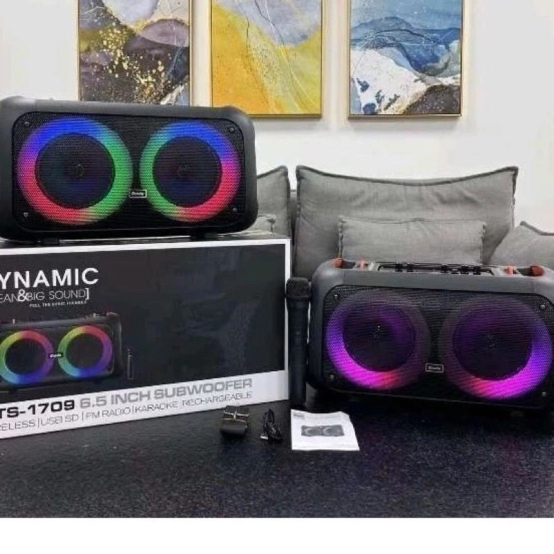 BTS-1709 brudo subwoofer Bluetooth 5.3 Karaoke Speaker with free ...