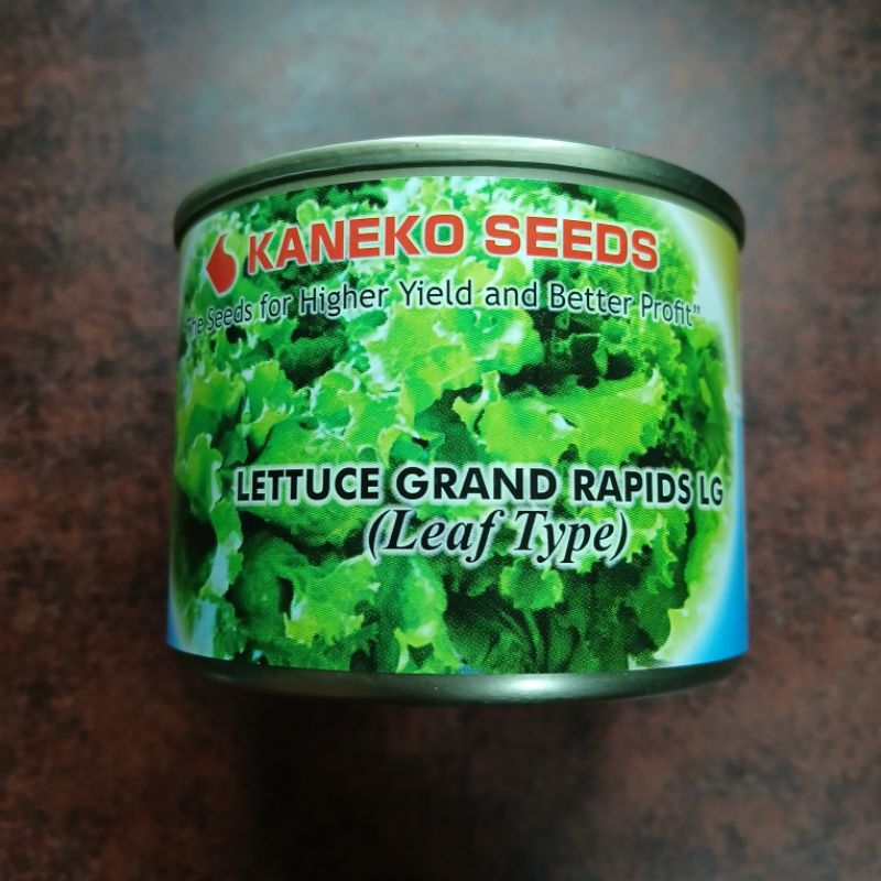 GRAND RAPID LG LEAF TYPE (50 GRAMS) LETTUCE SEEDS BY KANEKO SEEDS ...