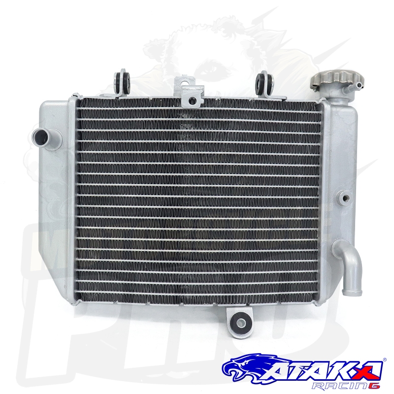 ATAKA Motorcycle Radiator Big Curve For Honda GTR 150 RS150 RS150R ...