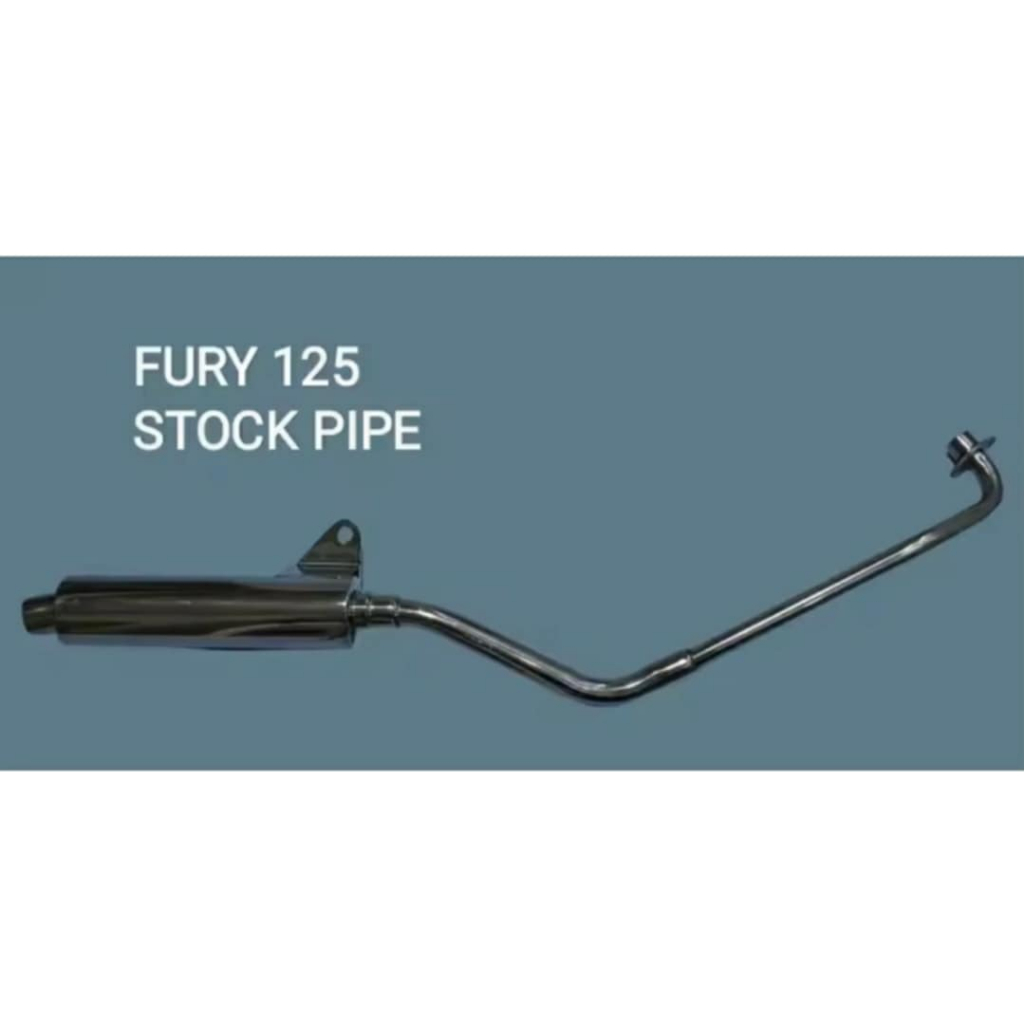 Kawasaki Fury 125 - StockPipe - Stainless - Muffler | Shopee Philippines