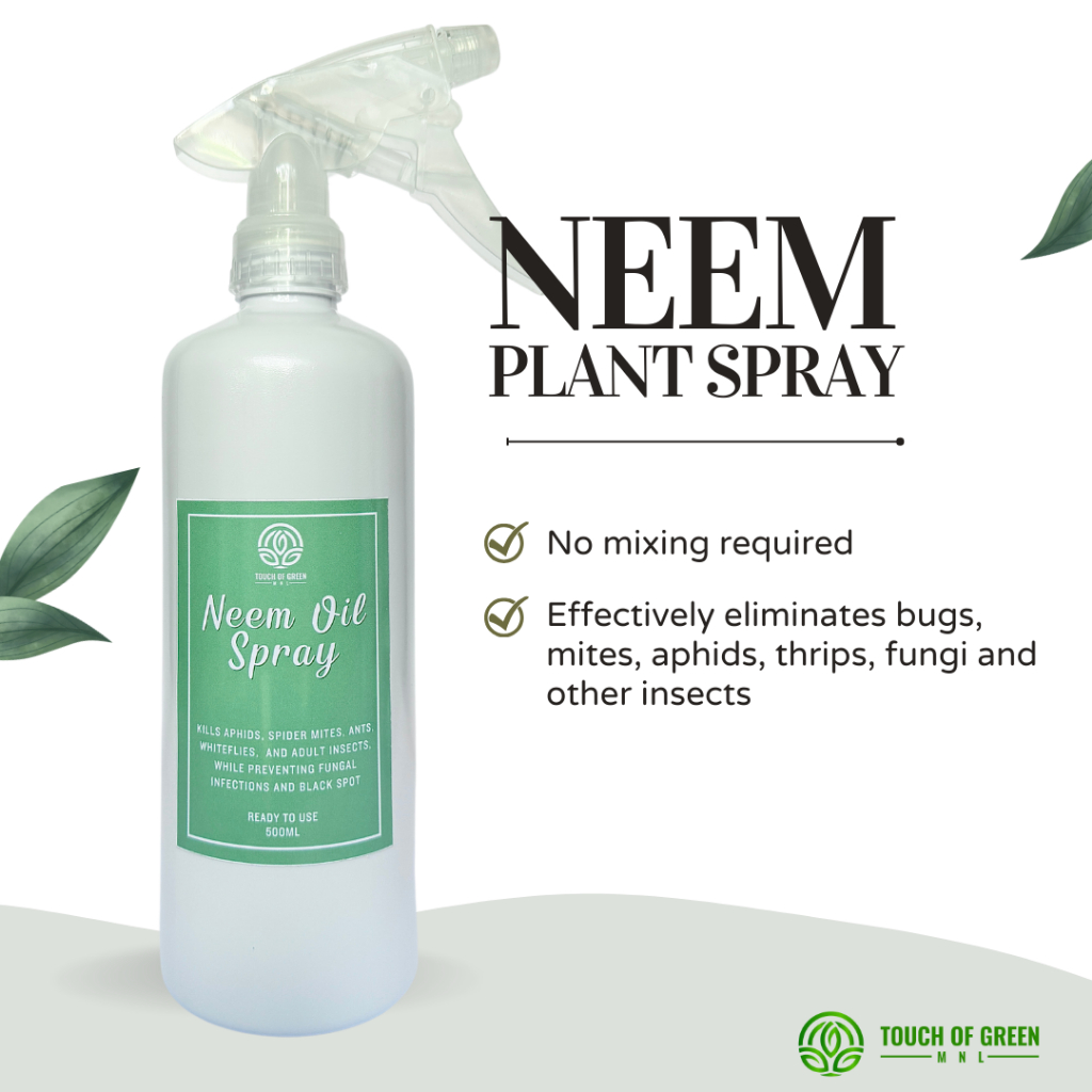 NEEM PLANT SPRAY 500ML | READY TO USE | Insect Control, Protection from ...