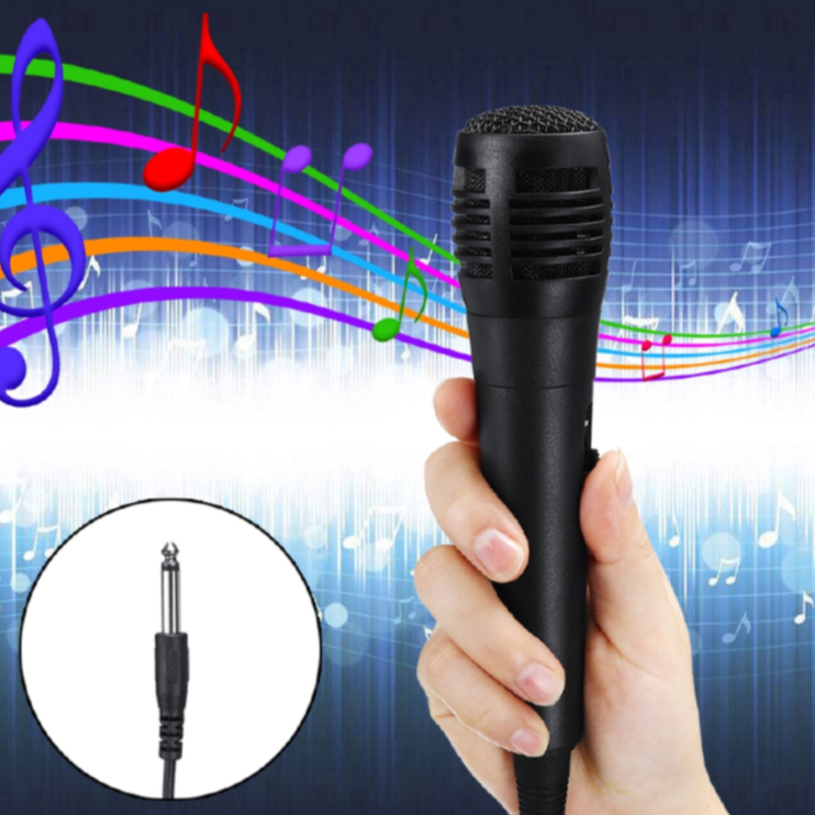[a3] WIRED MIC Professional Handheld Wired Dynamic Microphone Audio ...