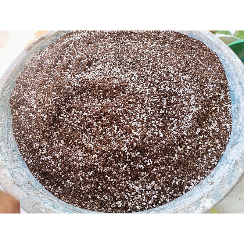 CACTUS SUCCULENT POTTING MIX | Shopee Philippines