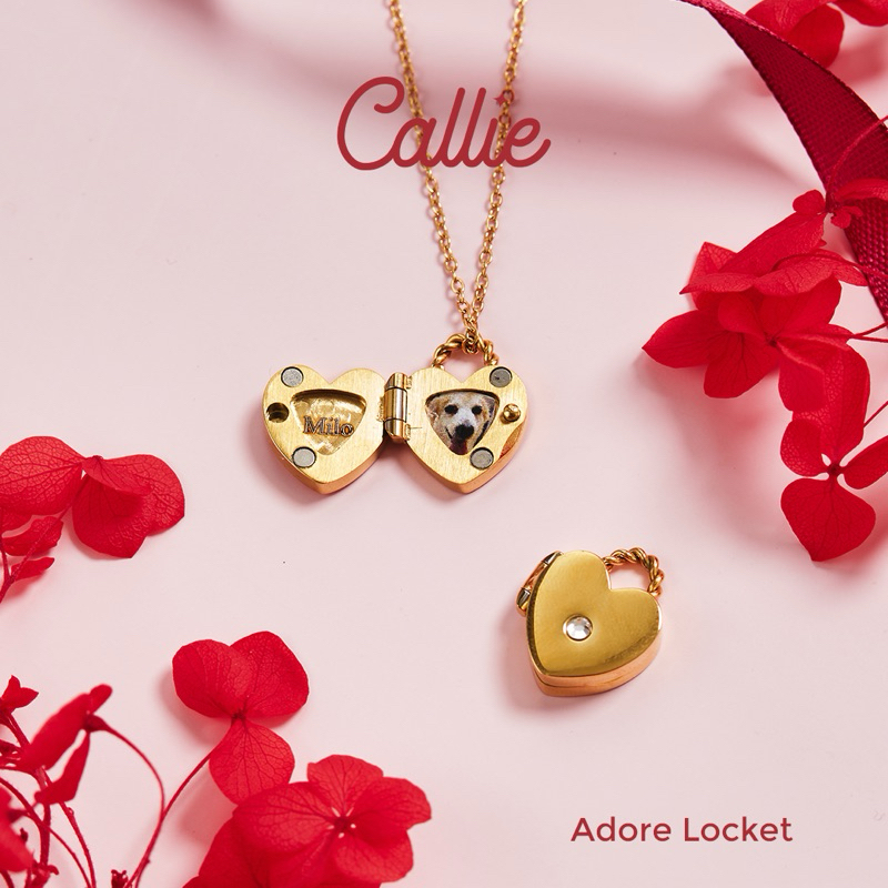Callie Stainless Steel Premium Adore Locket With Photo And Engraving ...
