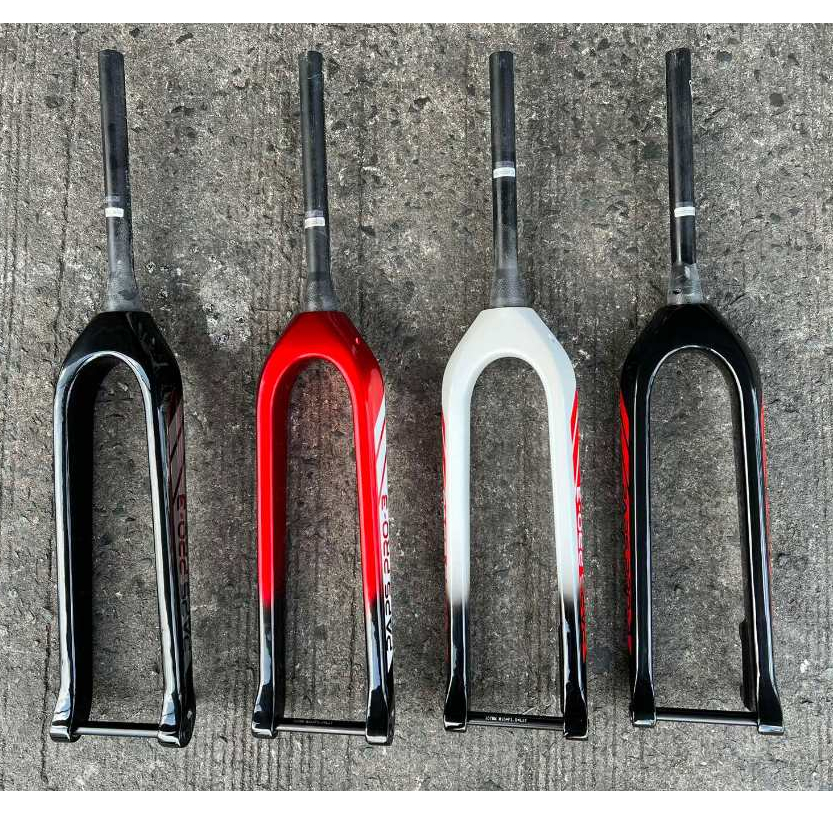 PAPS PRO- RIGID FORK CARBON - 1 YEAR WARRANTY! | Shopee Philippines