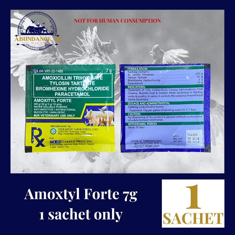 LDI AMOXITYL FORTE 7G - 1 SACHET ONLY | Shopee Philippines