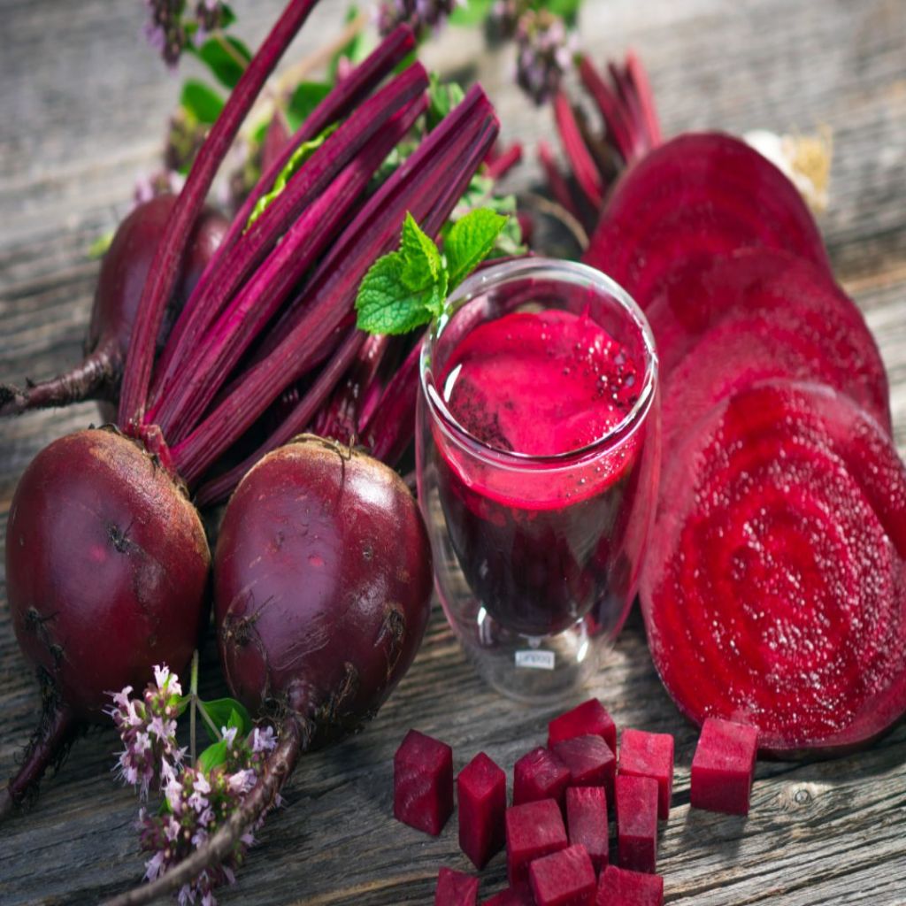 1 Kg Sugar Beets root crop juice ingredient beetfruit | Shopee Philippines