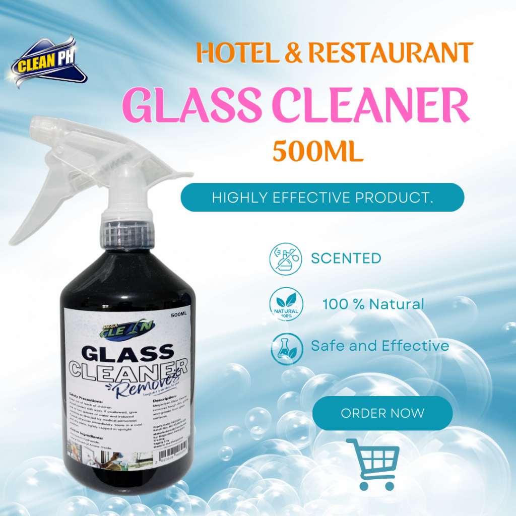 CLEANMASTER 500ML GLASS CLEANER SPRAY | Shopee Philippines